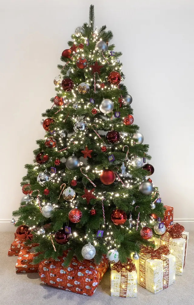 Sapin de Noël
