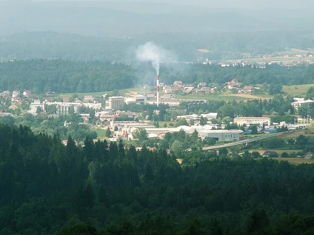 Bršljin