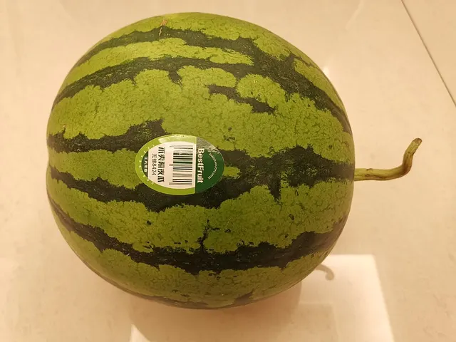 8424 watermelon