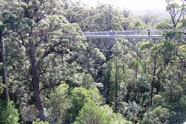 Tingledale, Western Australia