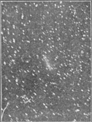 C/1907 G1