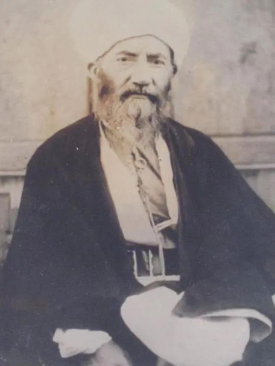 Muhammed Ala-ad-din al-Tavili