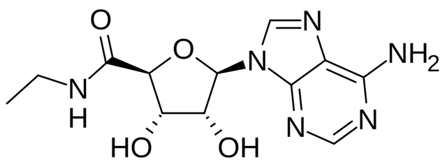 5′-(N-Ethylcarboxamido)adenosine
