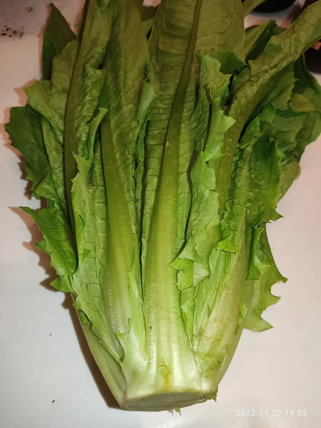 A-choy