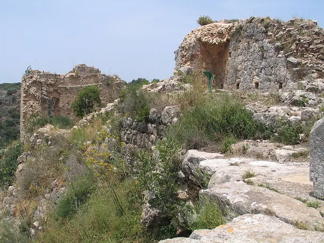 Fall of Montfort Castle