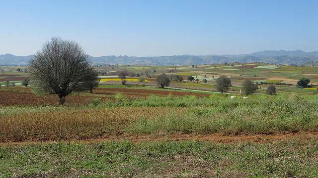 Kalaw District