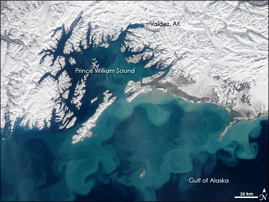 Gulf of Alaska