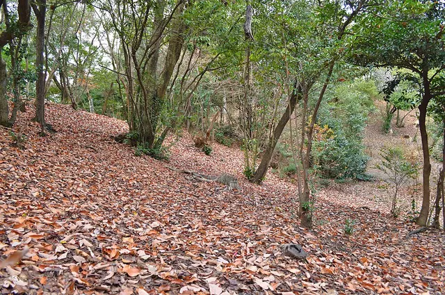 Itsukahara Kofun