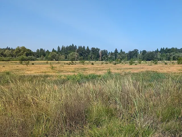 Quamash Prairie Natural Area