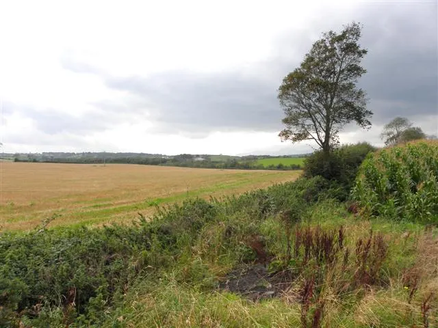 Ballygallum