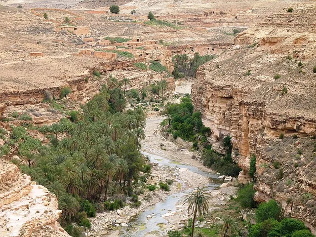 Oued Abiod