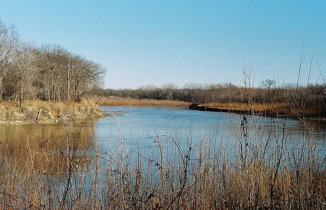 Bluff Creek
