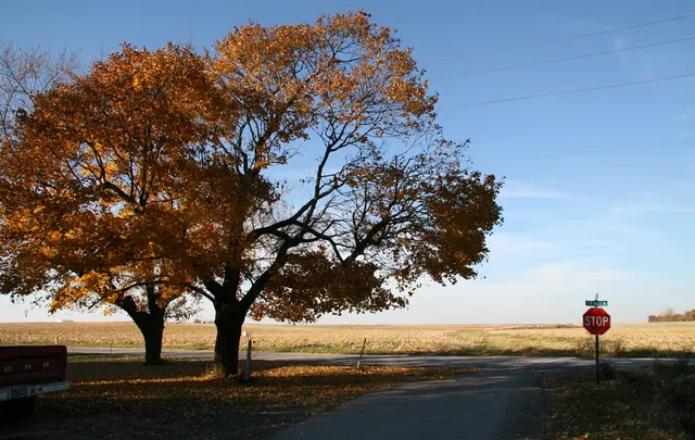 Wadena, Indiana