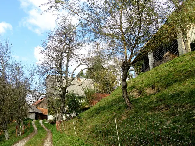 Tičje Brdo