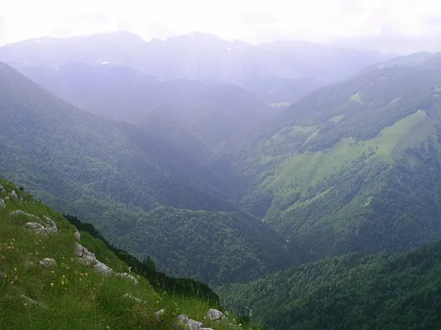 Hrčavka
