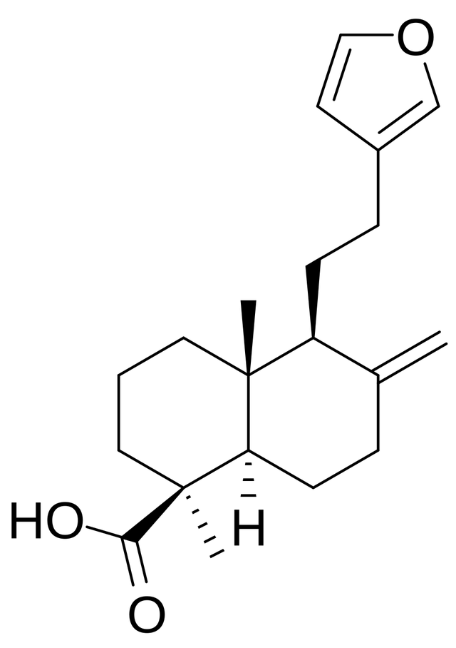 Lambertianic acid