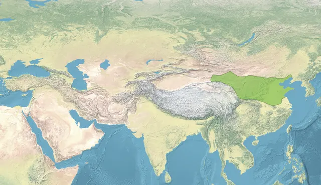 Northern Wei