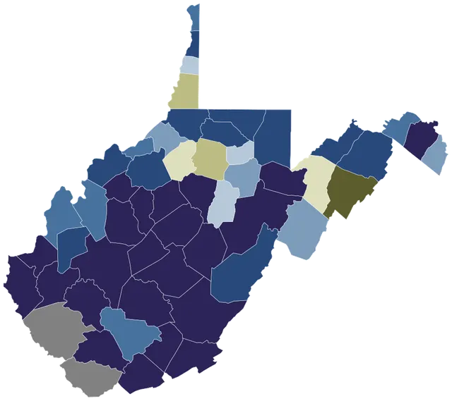 1871 West Virginia Constitutional amendment referendum