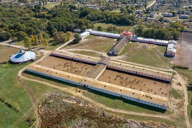 Haras de Derkul