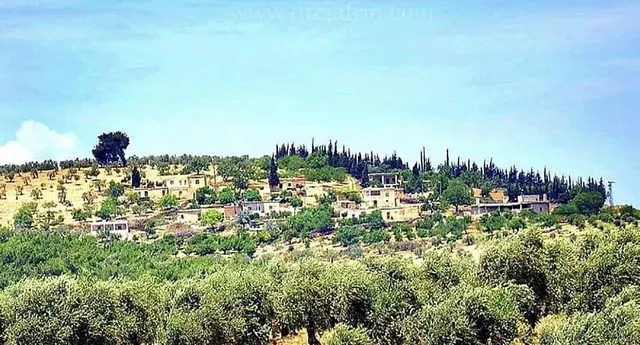 Tetera, Jindires