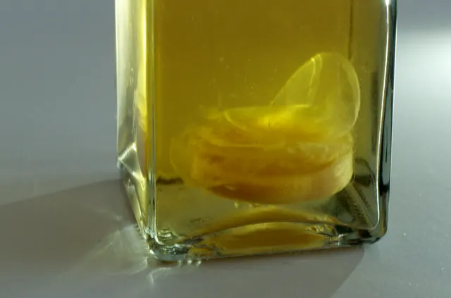 Mère de vinaigre