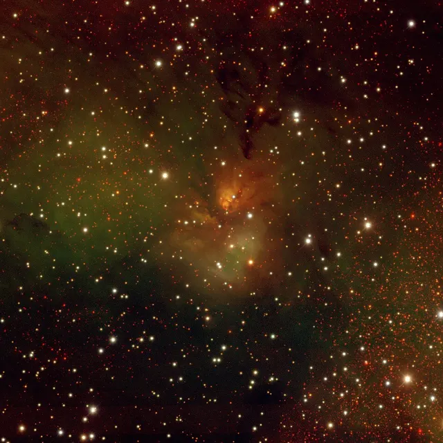 RCW 126