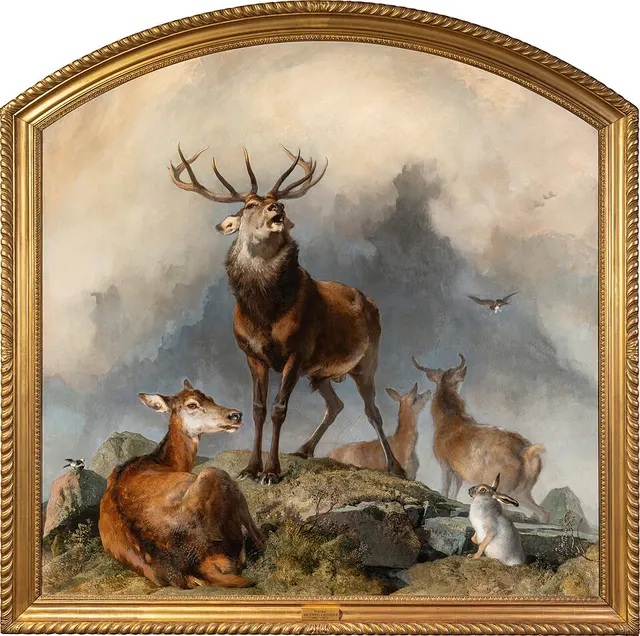 Scene in Braemar – Highland Deer