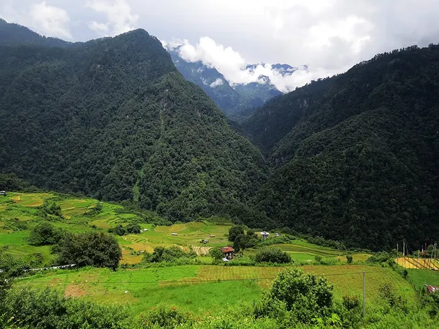 Eastern Himalayan broadleaf forests