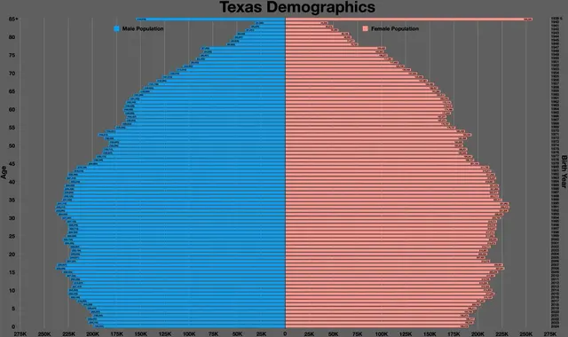 Demographics of Texas
