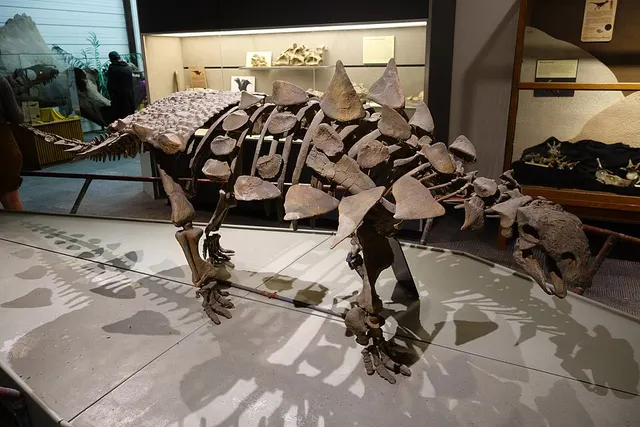Ankylosauria