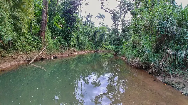 Guajataca River