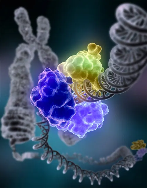 ADN-ligase