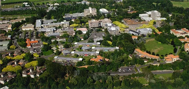 Massey University