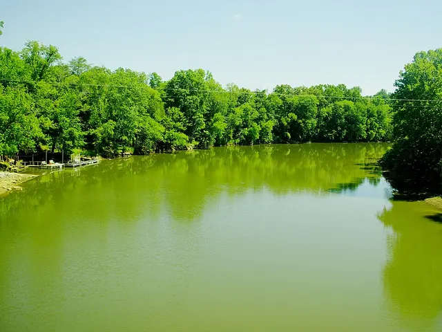 Rocky River
