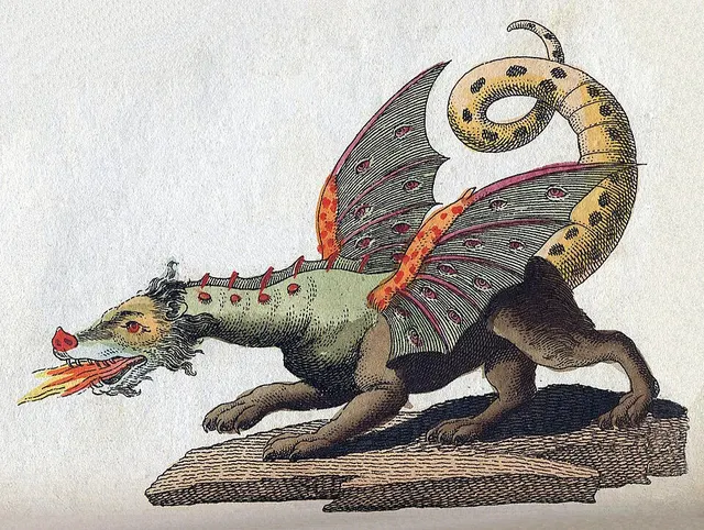 Dragon européen