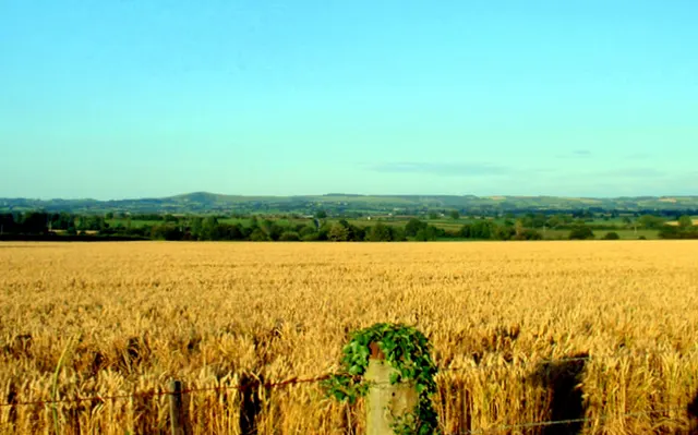 Terre arable