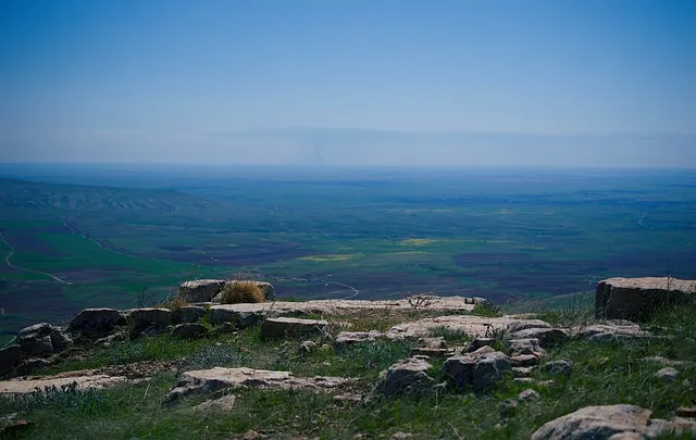 Nineveh Plains