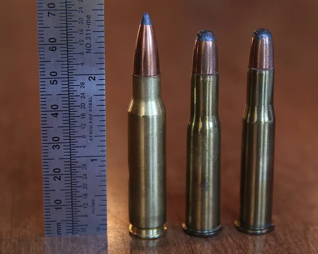 .303 Savage