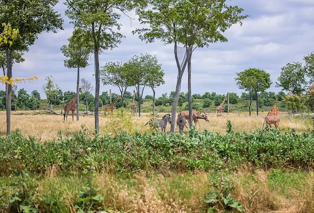 Parc zoologique