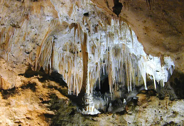 Parc national des grottes de Carlsbad