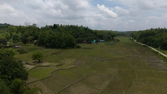 Naikhongchhari