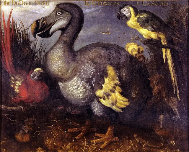 List of extinct bird species since 1500