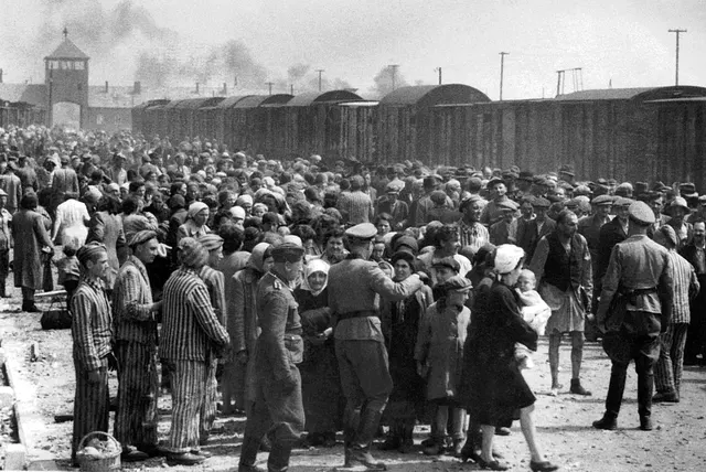 Auschwitz Album