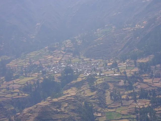 Huasta District