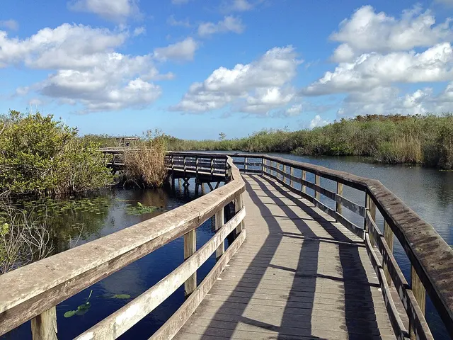 South Florida