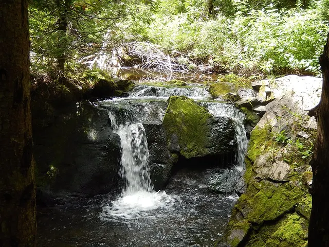 Rivière Bleue
