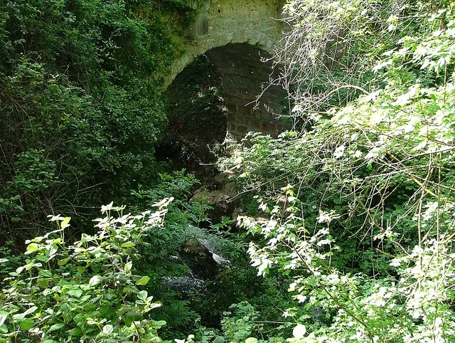 Ribeirotte