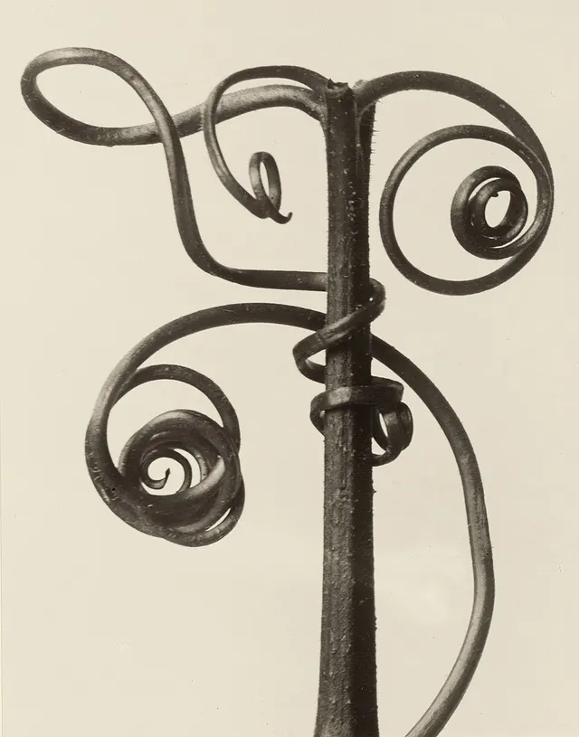 1928 en photographie