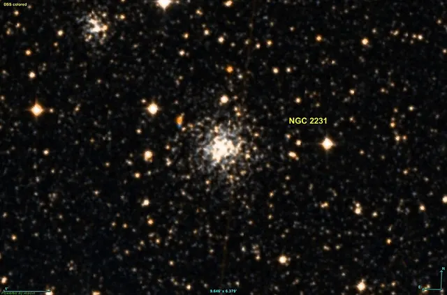 NGC 2231