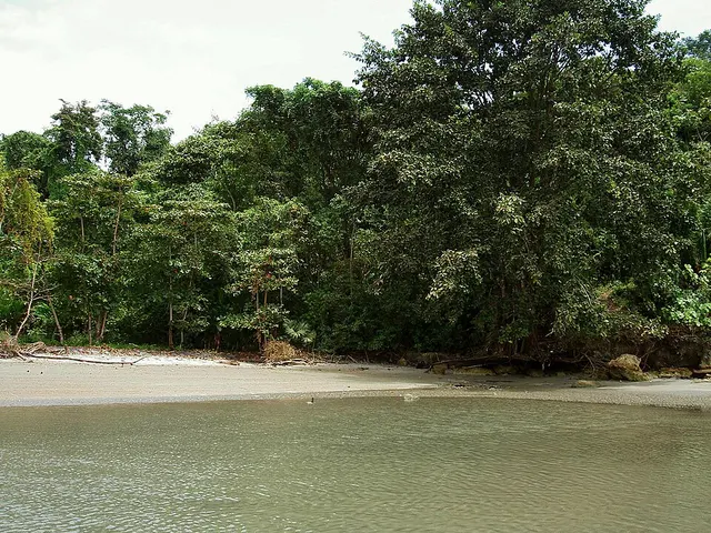 Réserve écologique de mangroves Cayapas-Mataje